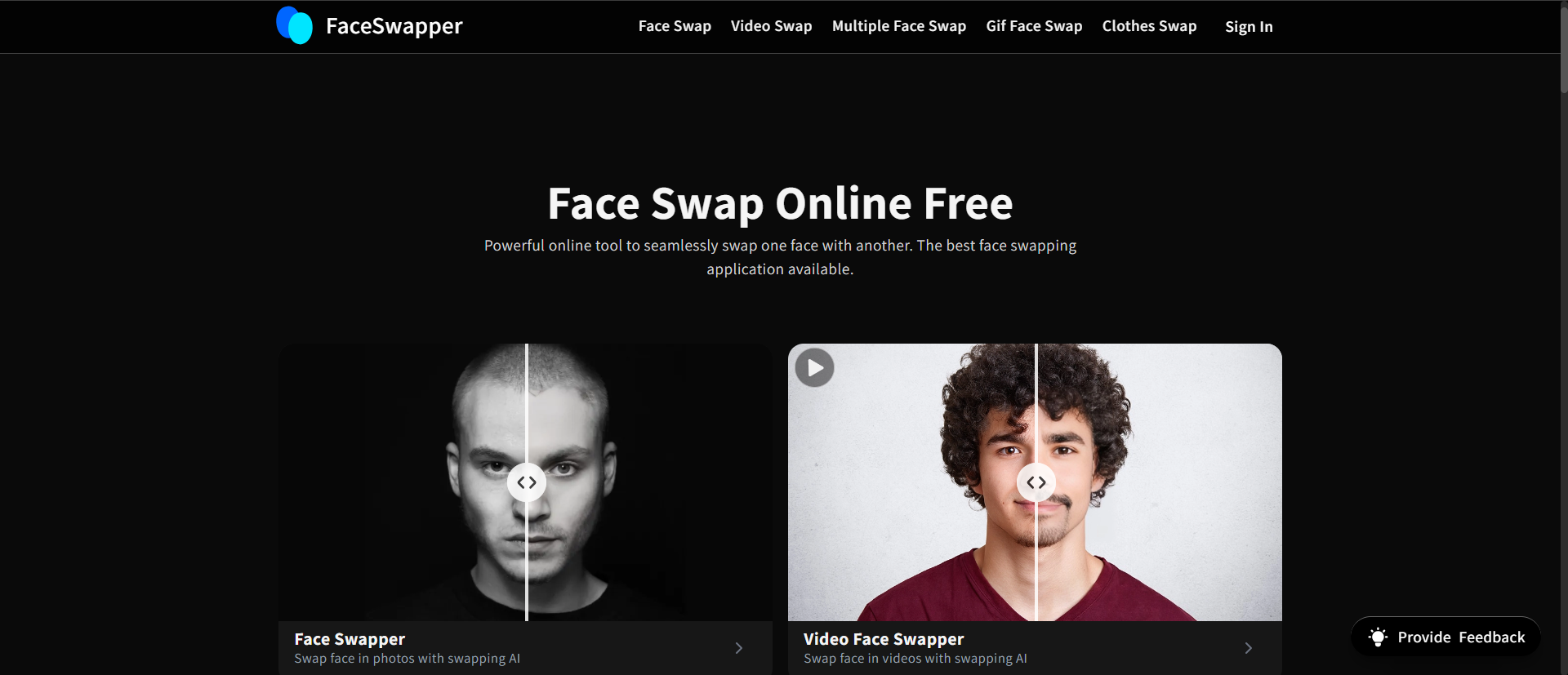 FaceSwapper AI Face Swap Example