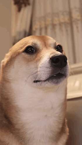 demo14.gif