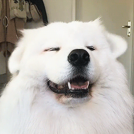 demo3.gif