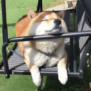 demo10.gif