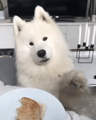 demo9.gif