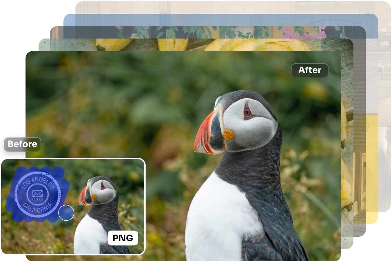 Batch Watermark Removal